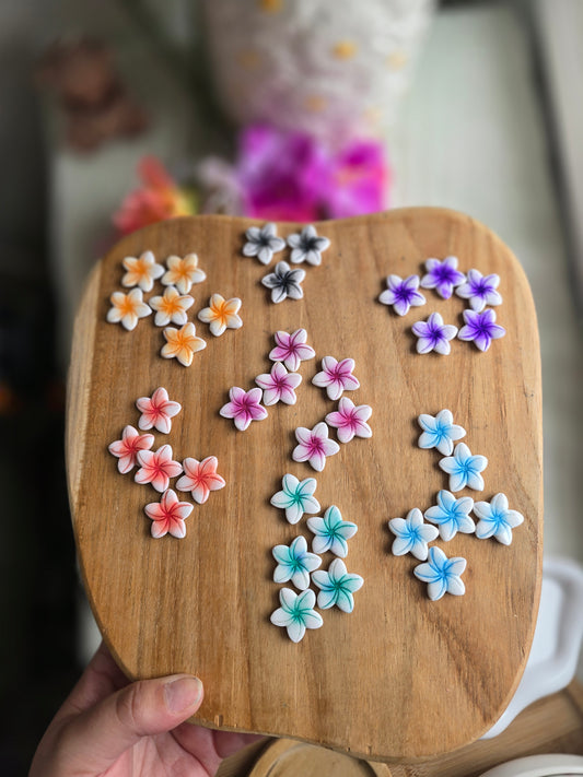 Charm's Léonie interchangeable 🌼