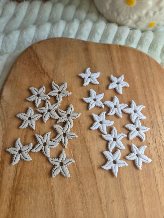 Étoile de mer 🐠