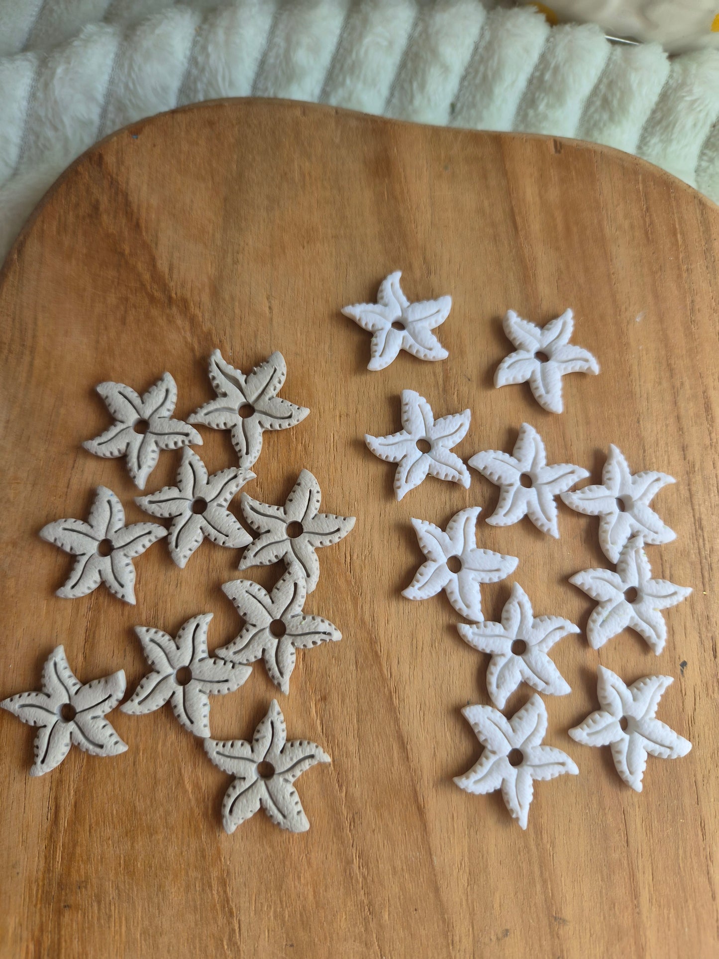 Étoile de mer 🐠