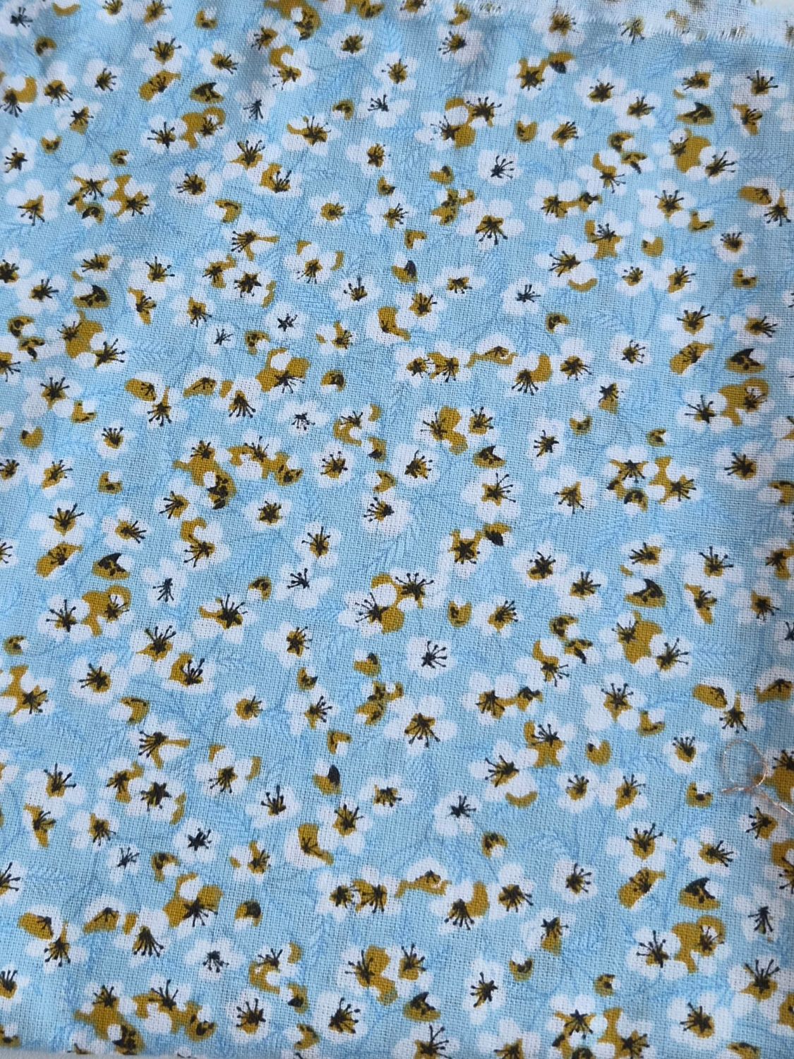 Fleurs blanches fond bleu ciel
