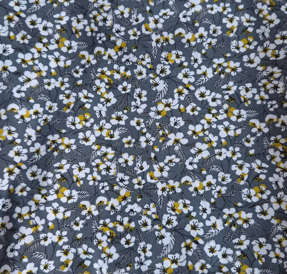 Fleurs blanches fond gris